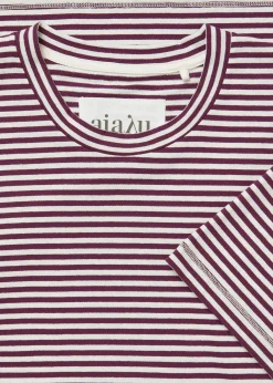 Classic circular tee striped
